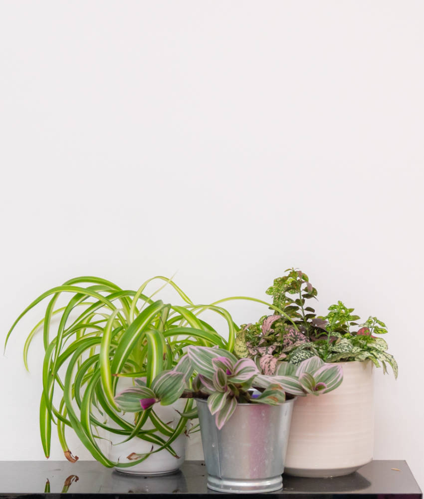 space and interiors by your property matchmaker 10