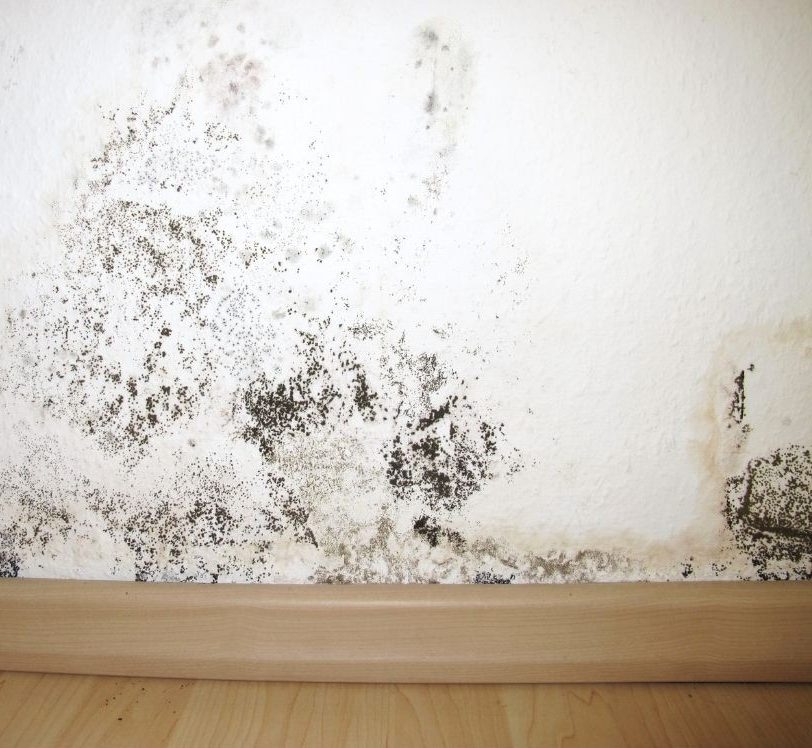 Condensation leads to mould and black spot